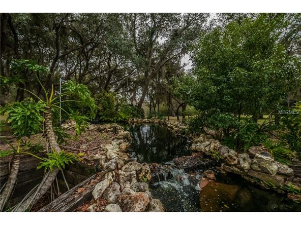 2270 N. Highland Avenue, Tarpon Springs, FL 34688 Photo 18