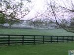 5222 Paris Pike, Lexington, KY 40511 Photo 64