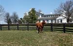 5222 Paris Pike, Lexington, KY 40511 Photo 45