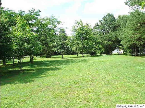 100 Cabana Ln., Albertville, AL 35951 Photo 6