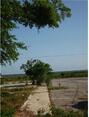 208 Murphy, Gulfport, MS 39501 Photo 6