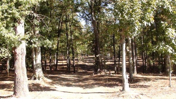 7299 Moseley Dixon Rd., Macon, GA 31220 Photo 6